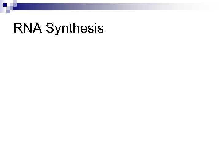 RNA Synthesis 