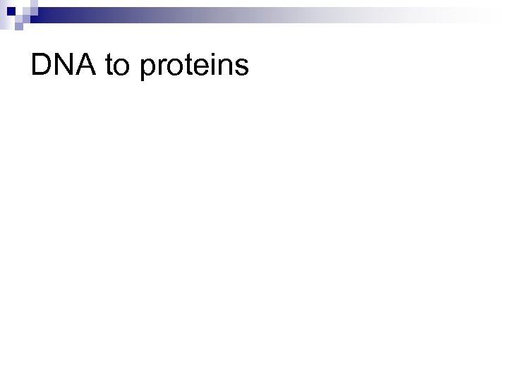 DNA to proteins 