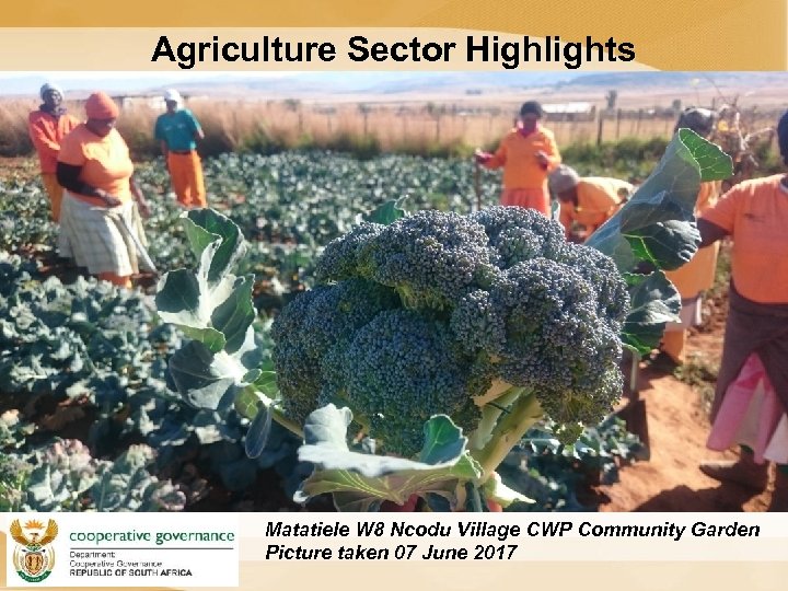 Agriculture Sector Highlights Matatiele W 8 Ncodu Village CWP Community Garden Picture taken 07