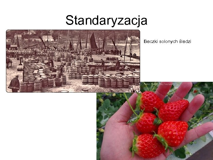 Standaryzacja Beczki solonych śledzi 