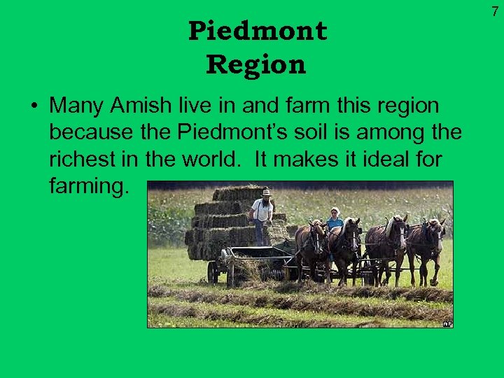 Piedmont Region • Many Amish live in and farm this region because the Piedmont’s