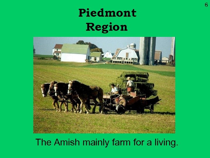 Piedmont Region The Amish mainly farm for a living. 6 