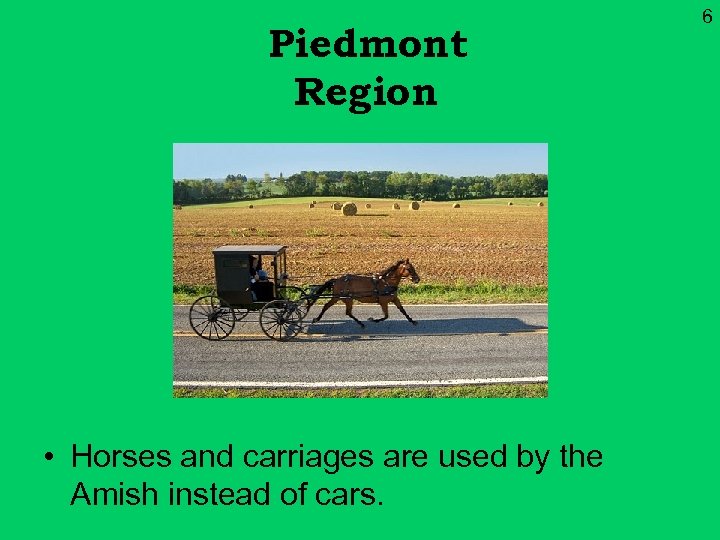 Piedmont Region • Horses and carriages are used by the Amish instead of cars.