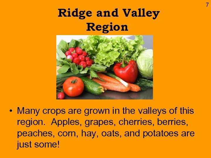 Ridge and Valley Region • Many crops are grown in the valleys of this