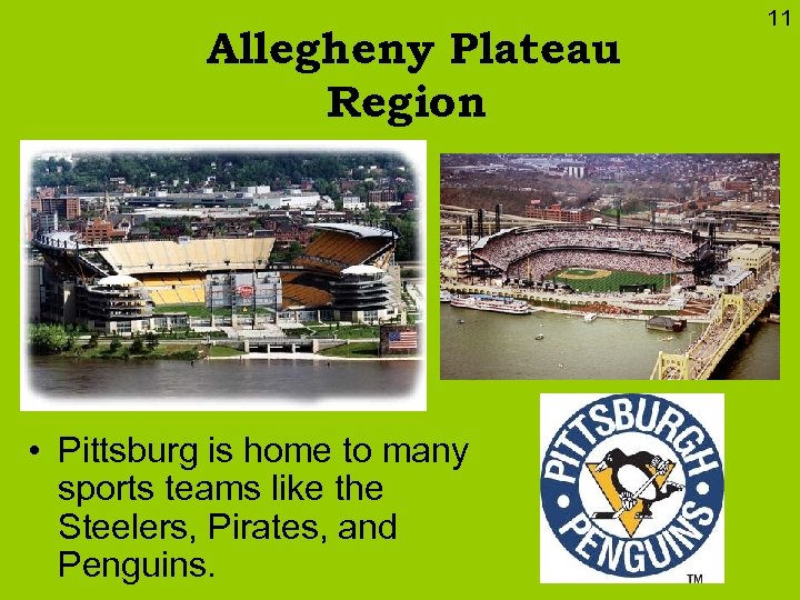 Allegheny Plateau Region • Pittsburg is home to many sports teams like the Steelers,