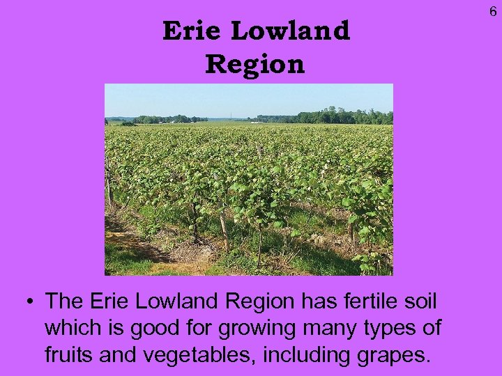 Erie Lowland Region • The Erie Lowland Region has fertile soil which is good