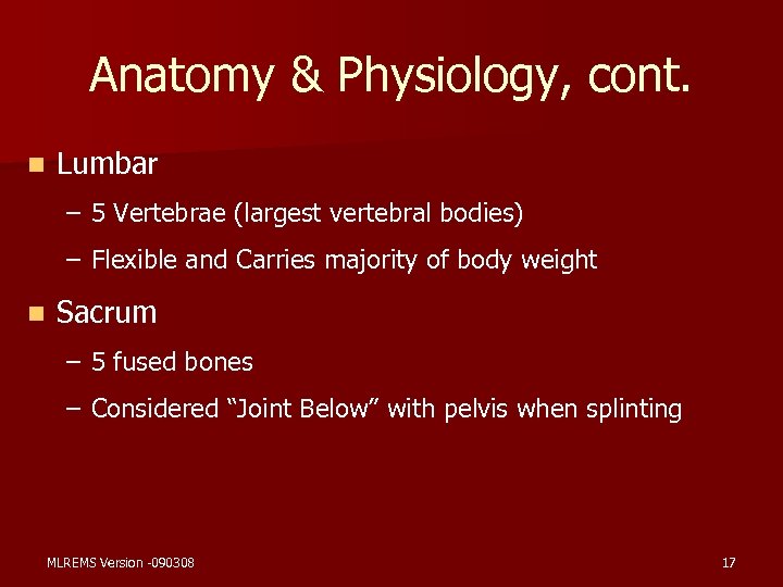 Anatomy & Physiology, cont. n Lumbar – 5 Vertebrae (largest vertebral bodies) – Flexible