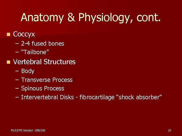 Anatomy & Physiology, cont. n Coccyx – 2 -4 fused bones – “Tailbone” n