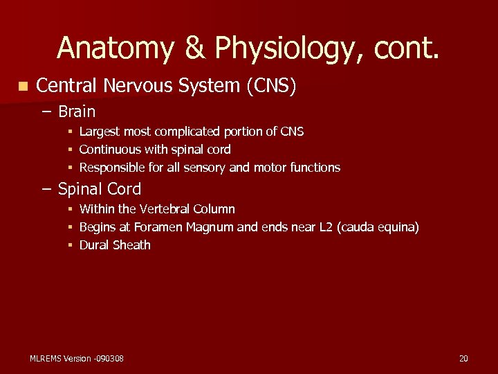 Anatomy & Physiology, cont. n Central Nervous System (CNS) – Brain § § §