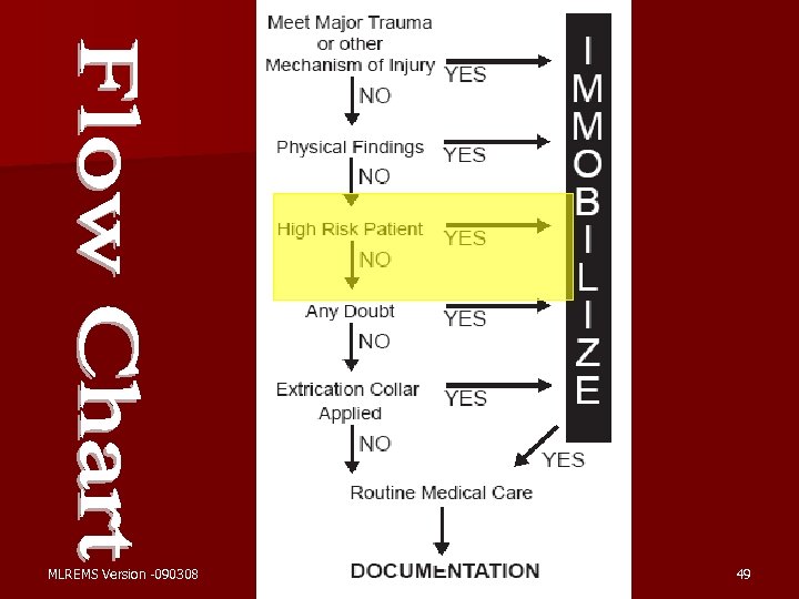 MLREMS Version -090308 49 