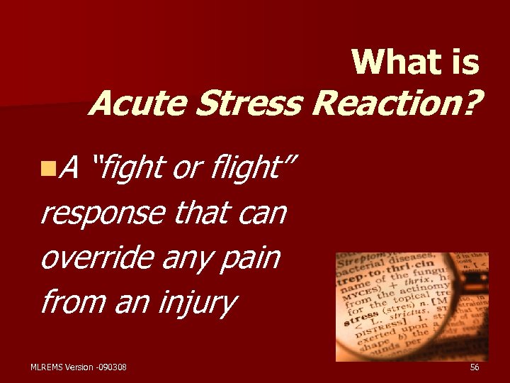 What is Acute Stress Reaction? n. A “fight or flight” response that can override