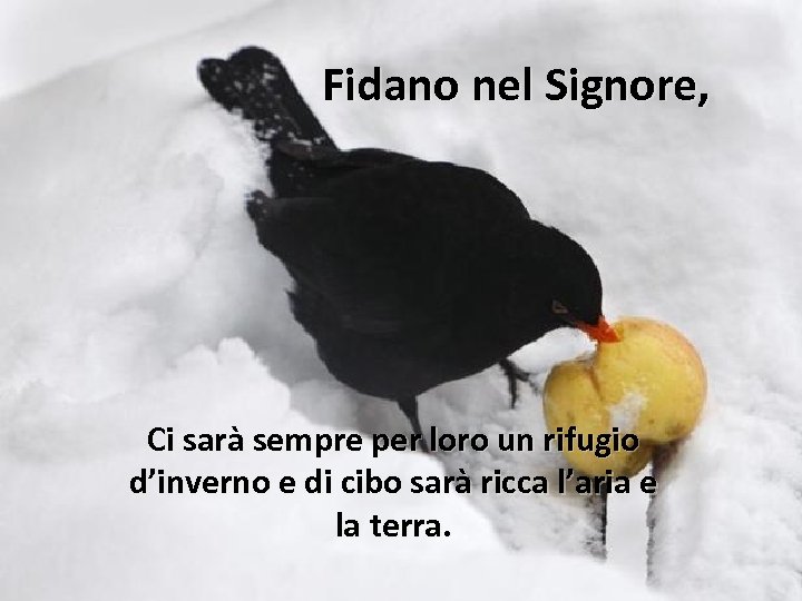 Fidano nel Signore, Ci sarà sempre per loro un rifugio d’inverno e di cibo