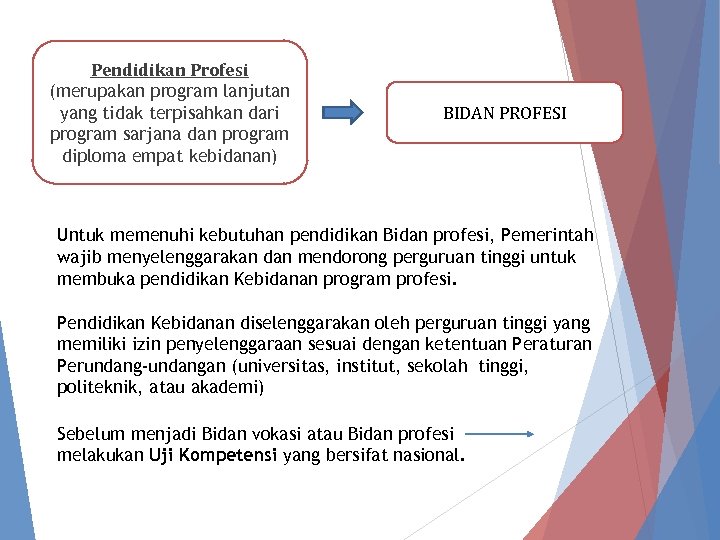 Pendidikan Profesi (merupakan program lanjutan yang tidak terpisahkan dari program sarjana dan program diploma