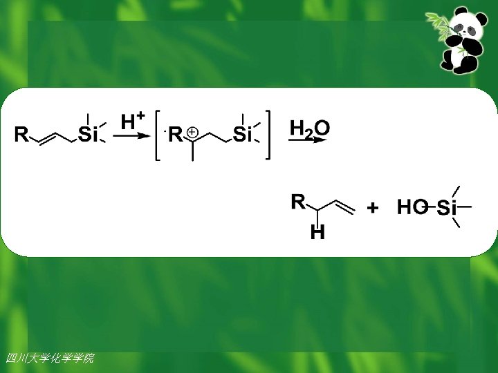 四川大学化学学院 