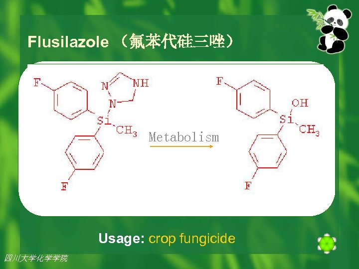 Flusilazole （氟苯代硅三唑） Metabolism Usage: crop fungicide 四川大学化学学院 