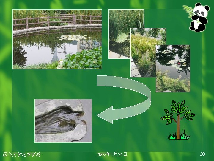 四川大学化学学院 2002年 7月26日 30 