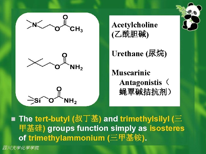 Acetylcholine (乙酰胆碱) Urethane (尿烷) Muscarinic Antagonistis（ 蝇覃碱拮抗剂） n The tert-butyl (叔丁基) and trimethylsilyl (三