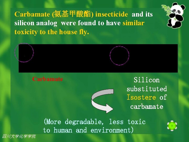 Carbamate (氨基甲酸酯) insecticide and its silicon analog were found to have similar toxicity to
