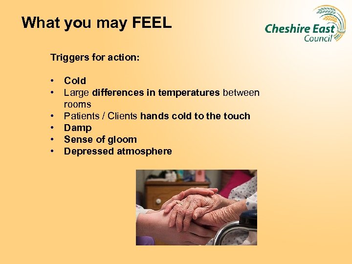 What you may FEEL Triggers for action: • • • Cold Large differences in