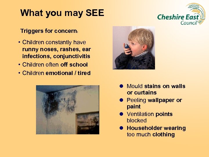 What you may SEE Triggers for concern: • Children constantly have runny noses, rashes,