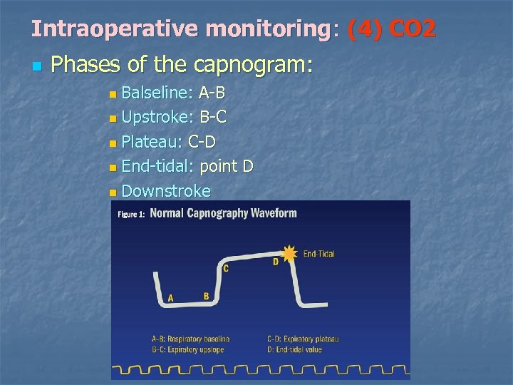 Intraoperative monitoring: (4) CO 2 n Phases of the capnogram: Balseline: A-B n Upstroke:
