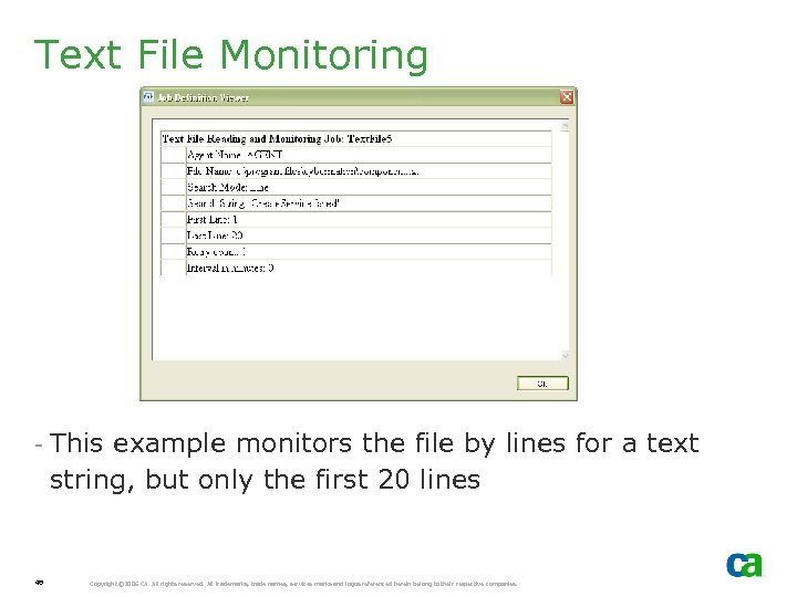 Text File Monitoring - This example monitors the file by lines for a text