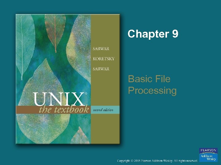 Chapter 9 Basic File Processing 