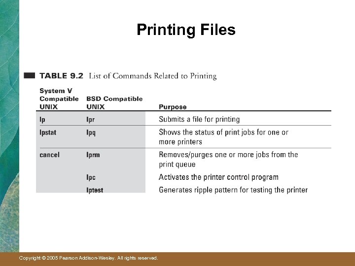 Printing Files Copyright © 2005 Pearson Addison-Wesley. All rights reserved. 
