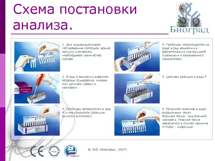 Схема постановки анализа. 1. Для индивидуального тестирования гребешок можно согнуть и отломить необходимое количество