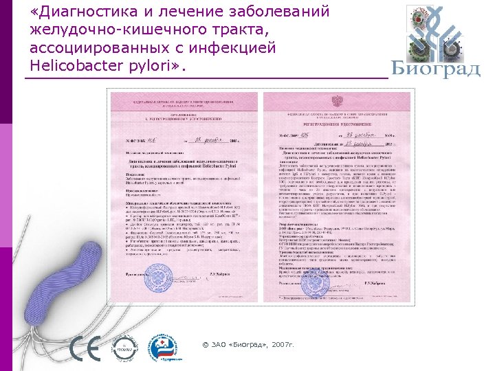  «Диагностика и лечение заболеваний желудочно-кишечного тракта, ассоциированных с инфекцией Helicobacter pylori» . ©