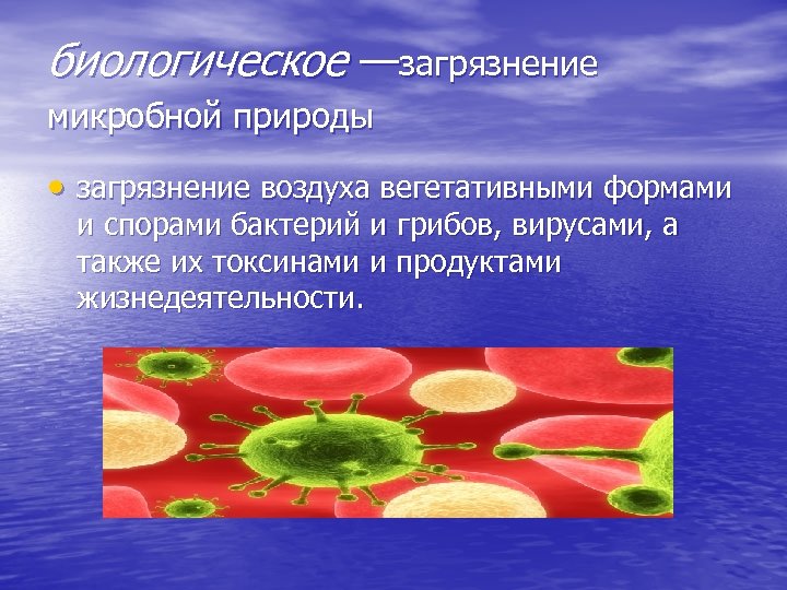 биологическое —загрязнение микробной природы загрязнение воздуха вегетативными формами и спорами бактерий и грибов, вирусами,