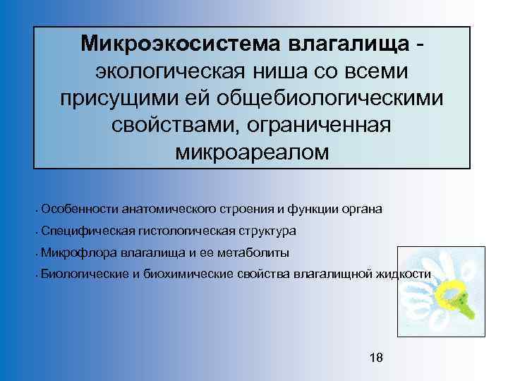 Микроэкосистема влагалища экологическая ниша со всеми присущими ей общебиологическими свойствами, ограниченная микроареалом • Особенности