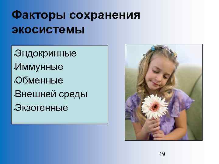 Факторы сохранения экосистемы Эндокринные • Иммунные • Обменные • Внешней среды • Экзогенные •