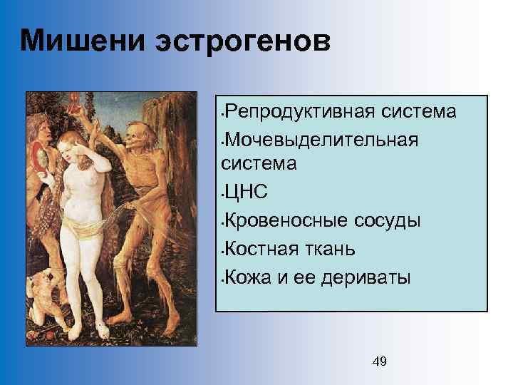 Мишени эстрогенов Репродуктивная система • Мочевыделительная система • ЦНС • Кровеносные сосуды • Костная