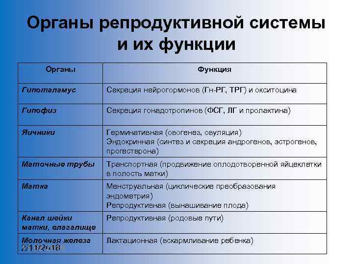 Органы репродуктивной системы и их функции Органы Функция Гипоталамус Секреция нейрогормонов (Гн-РГ, ТРГ) и