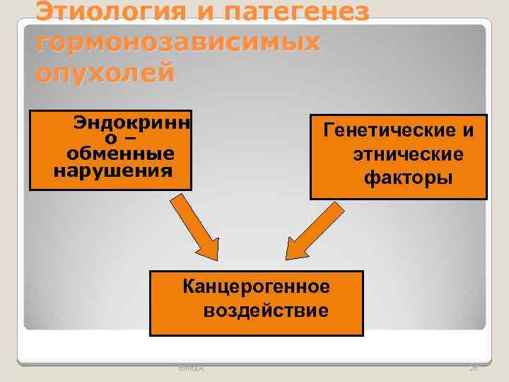 Этиология и патегенез гормонозависимых опухолей Эндокринн о– обменные нарушения Генетические и этнические факторы Канцерогенное