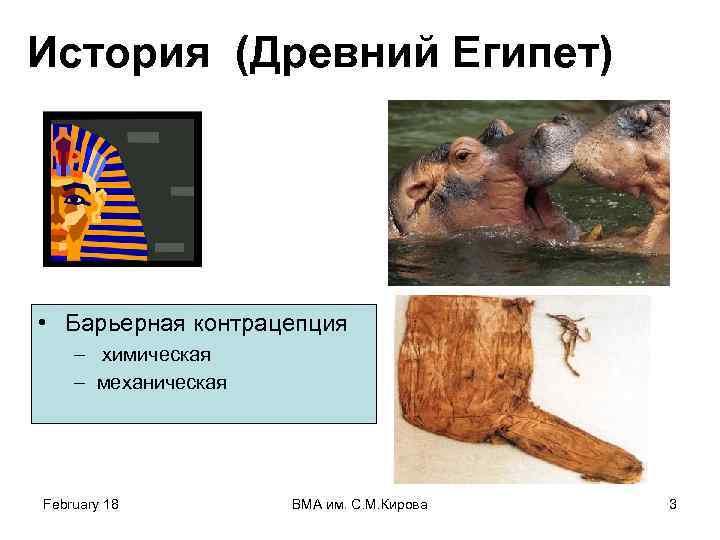История (Древний Египет) • Барьерная контрацепция – химическая – механическая February 18 ВМА им.