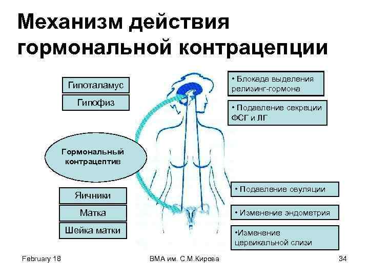 Механизм действия гормональной контрацепции • Блокада выделения релизинг-гормона Гипоталамус Гипофиз • Подавление секреции ФСГ