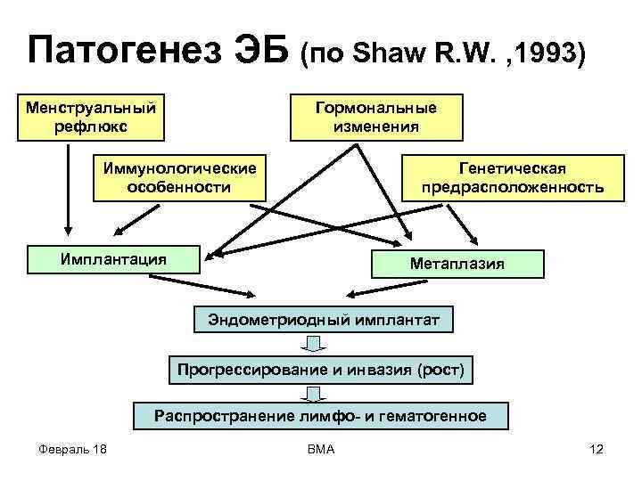 Патогенез ЭБ (по Shaw R. W. , 1993) Менструальный рефлюкс Гормональные изменения Иммунологические особенности