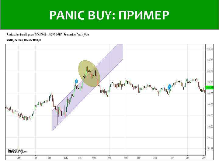 PANIC BUY: пример ПРИМЕР 