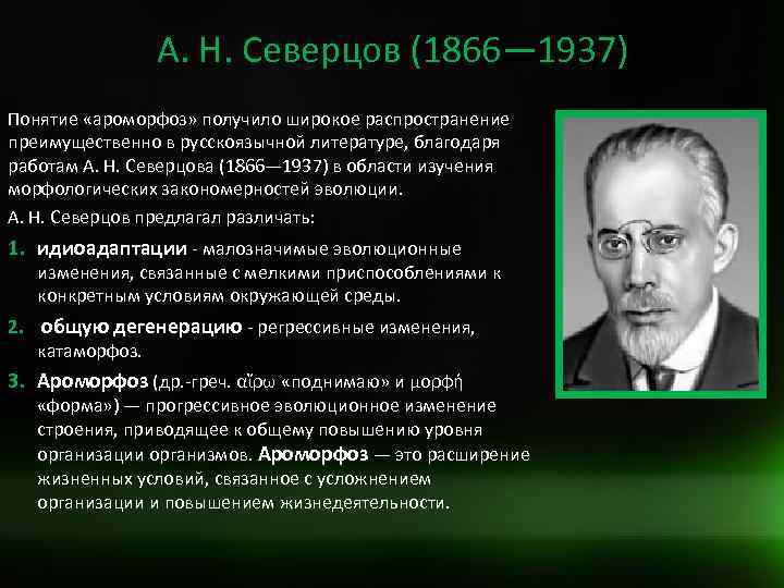 А. Н. Северцов (1866— 1937) Понятие «ароморфоз» получило широкое распространение преимущественно в русскоязычной литературе,