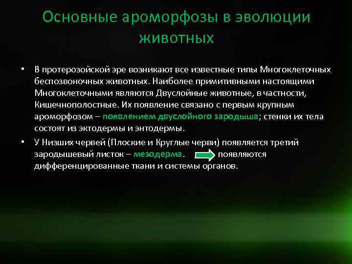 Основные ароморфозы в эволюции животных • В протерозойской эре возникают все известные типы Многоклеточных