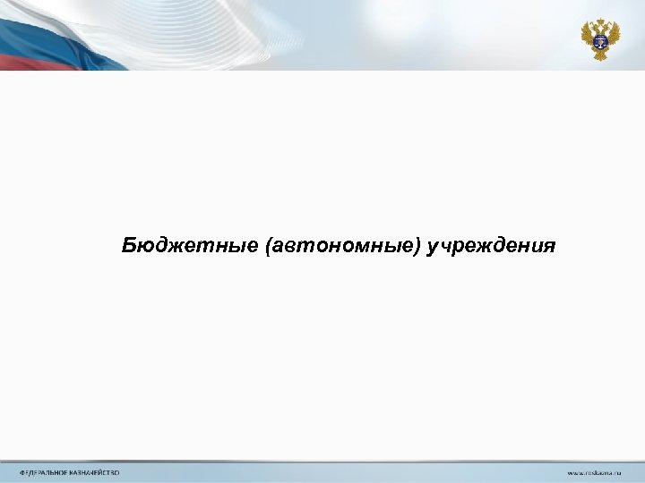 Бюджетные (автономные) учреждения 