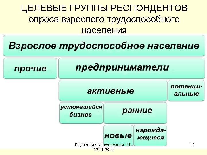 ЦЕЛЕВЫЕ ГРУППЫ РЕСПОНДЕНТОВ опроса взрослого трудоспособного населения Грушинская конференция, 1112. 11. 2010 10 
