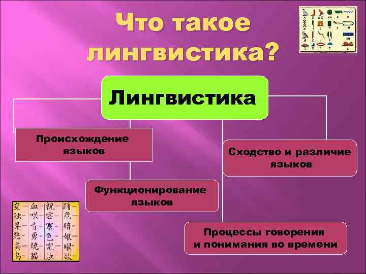 Что такое лингвистика? Лингвистика Происхождение языков Сходство и различие языков Функционирование языков Процессы говорения