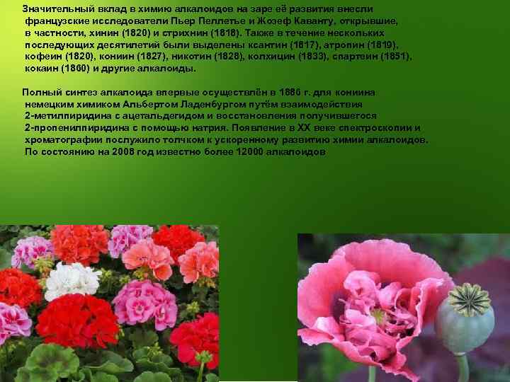 Значительный вклад в химию алкалоидов на заре её развития внесли французские исследователи Пьер Пеллетье