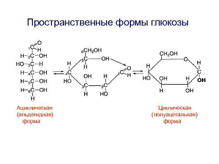 Простые углеводы глюкоза