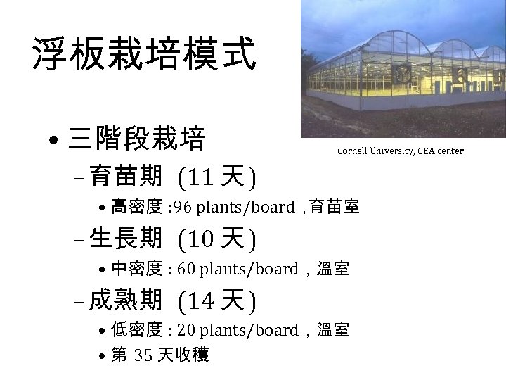 浮板栽培模式 • 三階段栽培 Cornell University, CEA center – 育苗期 (11 天 ) • 高密度
