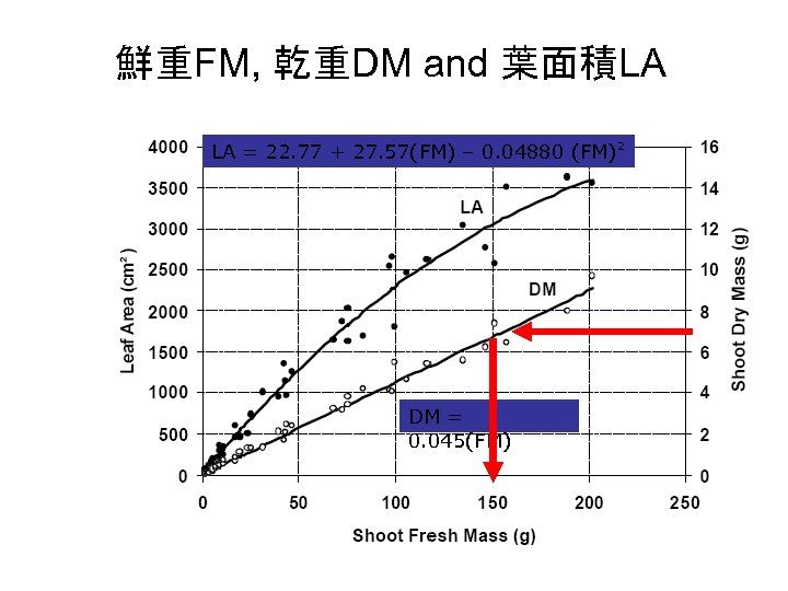 鮮重FM, 乾重DM and 葉面積LA LA = 22. 77 + 27. 57(FM) – 0. 04880