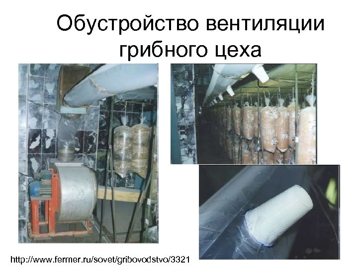 Обустройство вентиляции грибного цеха http: //www. fermer. ru/sovet/gribovodstvo/3321 